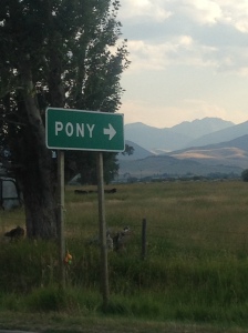 pony montana